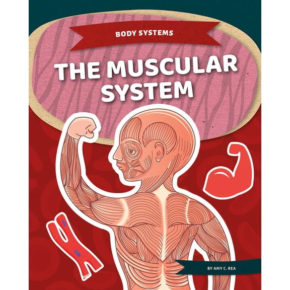 Body Systems Muscular System, (Hardcover)