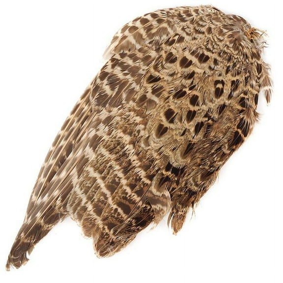 Zucker Feather Products Female Ringneck Pheasant Wing - 7-8" - Natural