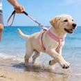 thumbnail image 4 of EGNMCR Série Dégradée Harnais de Poitrine pour Animaux de Compagnie Réglable Laisse Anti-Déchirable Laisse de Marche Extérieure Laisse de Sécurité en polyester Pet Leash Ensemble, 4 of 6