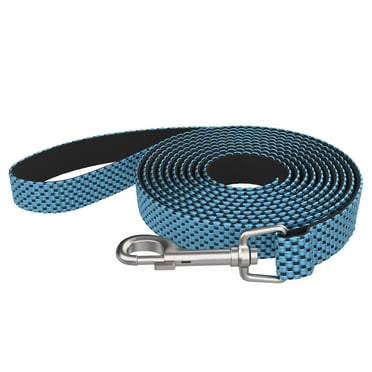 Vibrant Life Nylon 5ft Anti-Shock Padded Dog Leash, Blue  - For Medium and Large Dogs