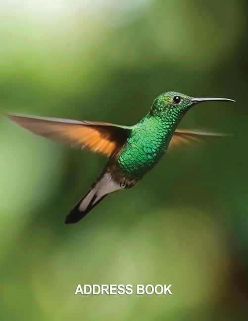 Low Vision Address Book Large Print Contacts and Password Record With Bold Lines on White