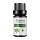 thumbnail image 2 of Hot6sl Ofertas Del Día Aceite Corporal 10 Ml Aceite Masaje Hidratante para Cuidado de La Piel Fragancias Aceite de La Piel Calmante para Cuidado de La Piel Nutritivo Integral, 2 of 7