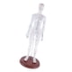 thumbnail image 4 of Modelo de acupuntura humana femenina modelo de  puntos, altura 19 Hembra Cola  Figura de punto de acupuntura, 4 of 8