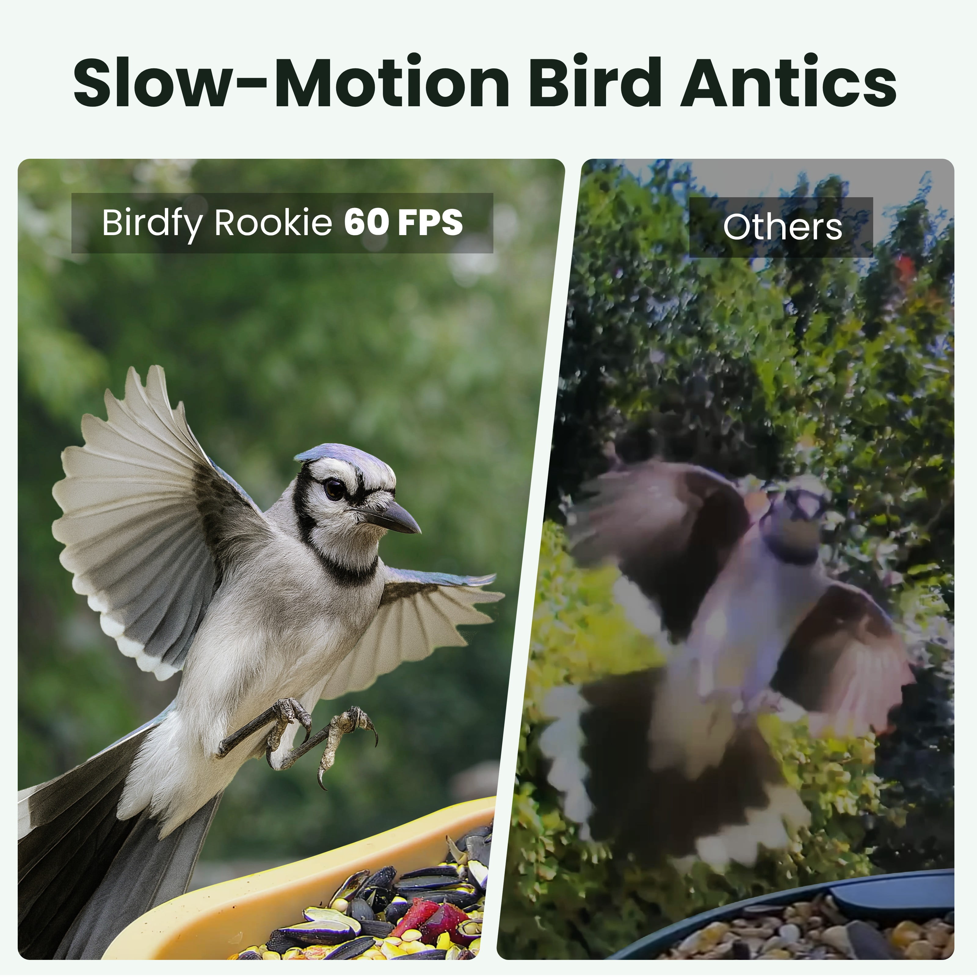 Birdfy Smart Bird Feeder with Camera, 6000+ AI Species Identification, 1080P HD Video, Instant App Alerts, Brown