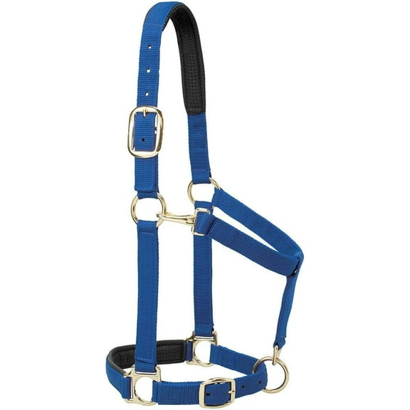 Weaver Leather Padded Adjustable Chin and Throat Snap Halter, 1" Average Horse or Yearling Draft, Solid Blue