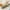 Green, variant on Uutvmp Dessert Dividing Plate Cookies Jar, Serving Bowls Serving Platter Divided Dishes for Reception Room Office Kitchen Bread, 3 Grids