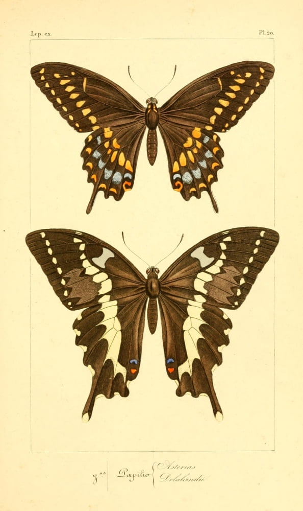 Histoire Naturelle