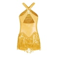 thumbnail image 2 of Alvivi Girls Sparkle Latin Dance Fringe Dress Kids Ballet Jazz Chacha Tango Rumba Dancewear Gold 8, 2 of 5