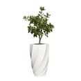 thumbnail image 1 of Artificial Tung Tree 46" Fake Plant Real Touch with Planter, 1 of 3