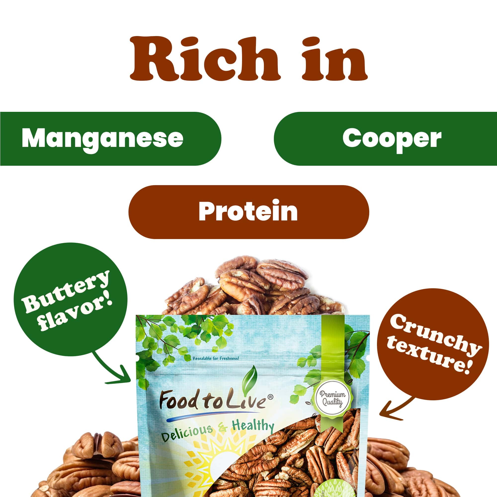 Food to Live Whole Pecans, 1.5 Pounds, Non-GMO Verified, Raw, Shelled