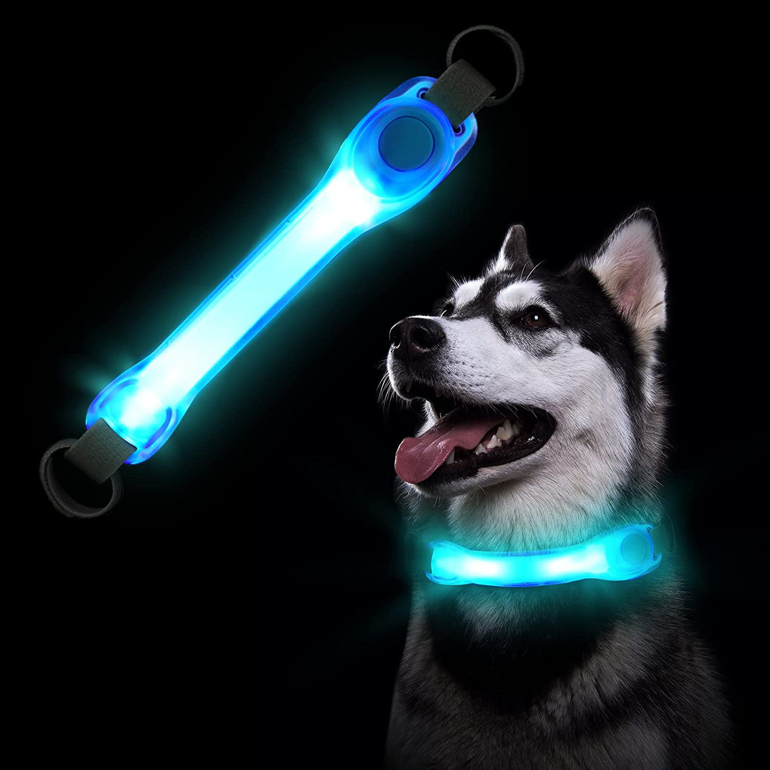 Dog harness light sale