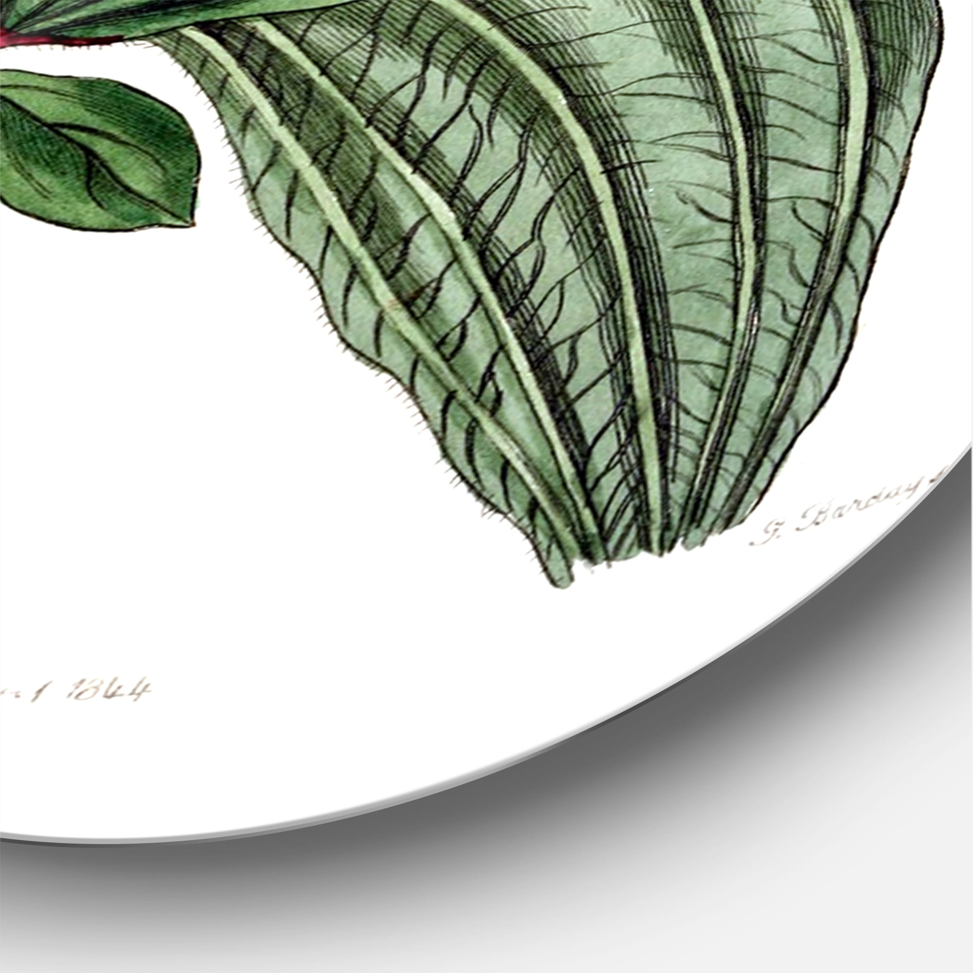 Designart 'Ancient Plant Life XXIII' Traditional Circle Metal Wall Art 11x11 - Disc of 11