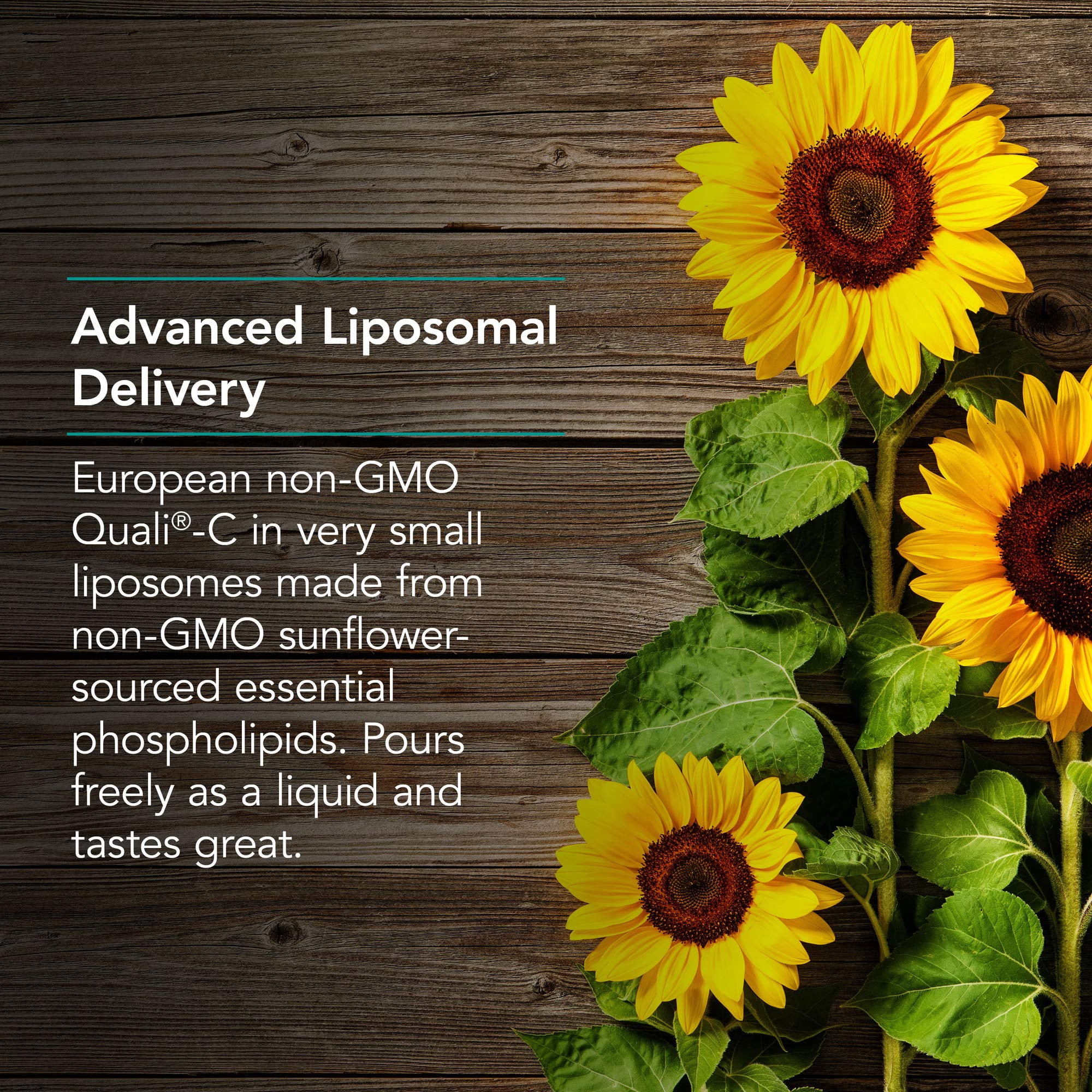 Nutricology Micro Liposomal C 1000mg Supplement - Liquid Vitamin C, Sunflower Phospholipids, Sodium Ascorbate, Organic, Bioavailable - 4 Fl Oz
