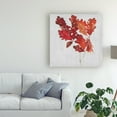 thumbnail image 3 of Trademark Fine Art 'Autumn Leaves VIII' Canvas Art by Dianne Miller, 3 of 3
