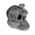 thumbnail image 1 of Estatua de Calavera de Serpiente YONGSHENG para Decoraciones de Halloween Color Negro, 1 of 3