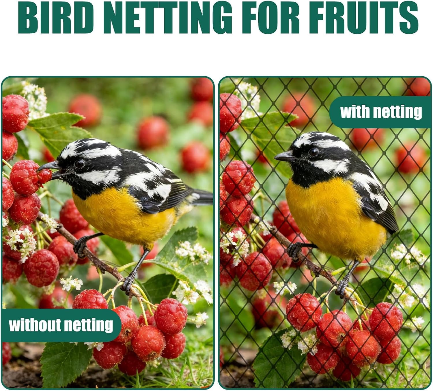 Bird Netting for Garden Protection - 25 x 50 ft Heavy Duty Black Nylon Poultry Netting 1’’ Mesh for Blueberry Bushes, Fruit Trees, Chicken Coops and Porches