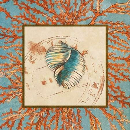 24 Coral Shell - Coral Medley Shell I Canvas Art - Lanie Loreth (24 x 24)