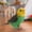 EE, variant on Iumwxz Online Shopping Bird Macaws Parrot Model Figurines for Collection Educational&Decoration Toys Christmas Gifts home decor christmas clearance outdoors indoor