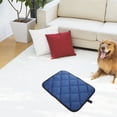 thumbnail image 1 of TAILTOSS 1Pack Car Pet Pad for Small Animals Waterproof 35x49cm, 1 of 8