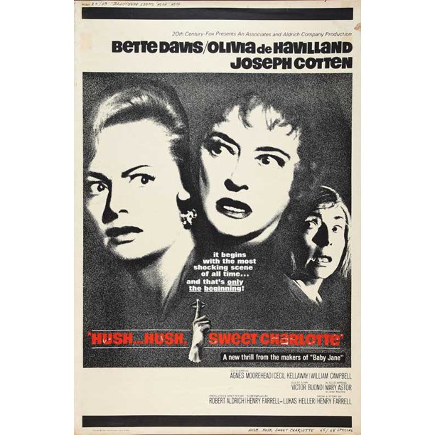 Hush movie synopsis image