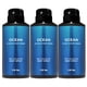 thumbnail image 1 of Aerosol corporal desodorizante Bath and Body Works Ocean Men, 110 ml, paquete de 3, 1 of 1