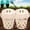 Wheat Straw Plastic, variant on Outdoor Worm Compost Bin for Garden Beds & Home Use, Vermicomposting Bin for Beginners – Inground Worm Composter