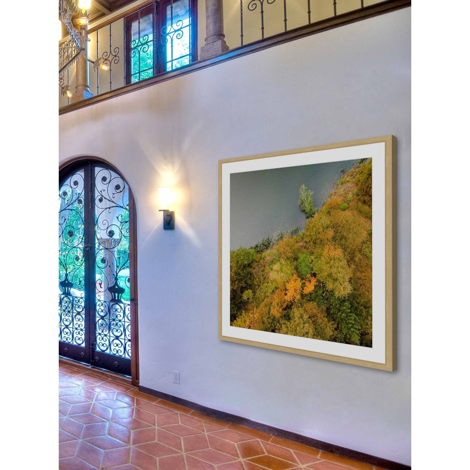 Marmont Hill 'Plant Wall' by Karolis Janulis Framed Photographic Print
