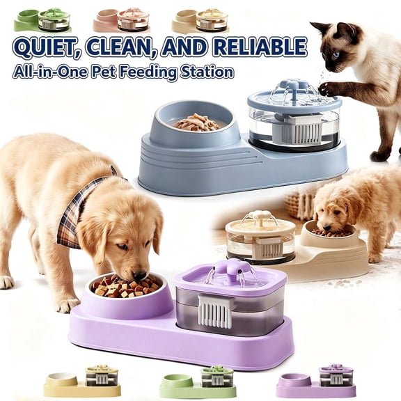 Cat Water Fountain with Food Bowl, Automatic Pet Water Dispenser with Large Capacity Cat Bowl Set _ #02 _ Purple _ A