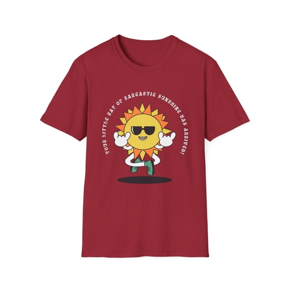 Your little ray of sarcastic sunshine shirt!