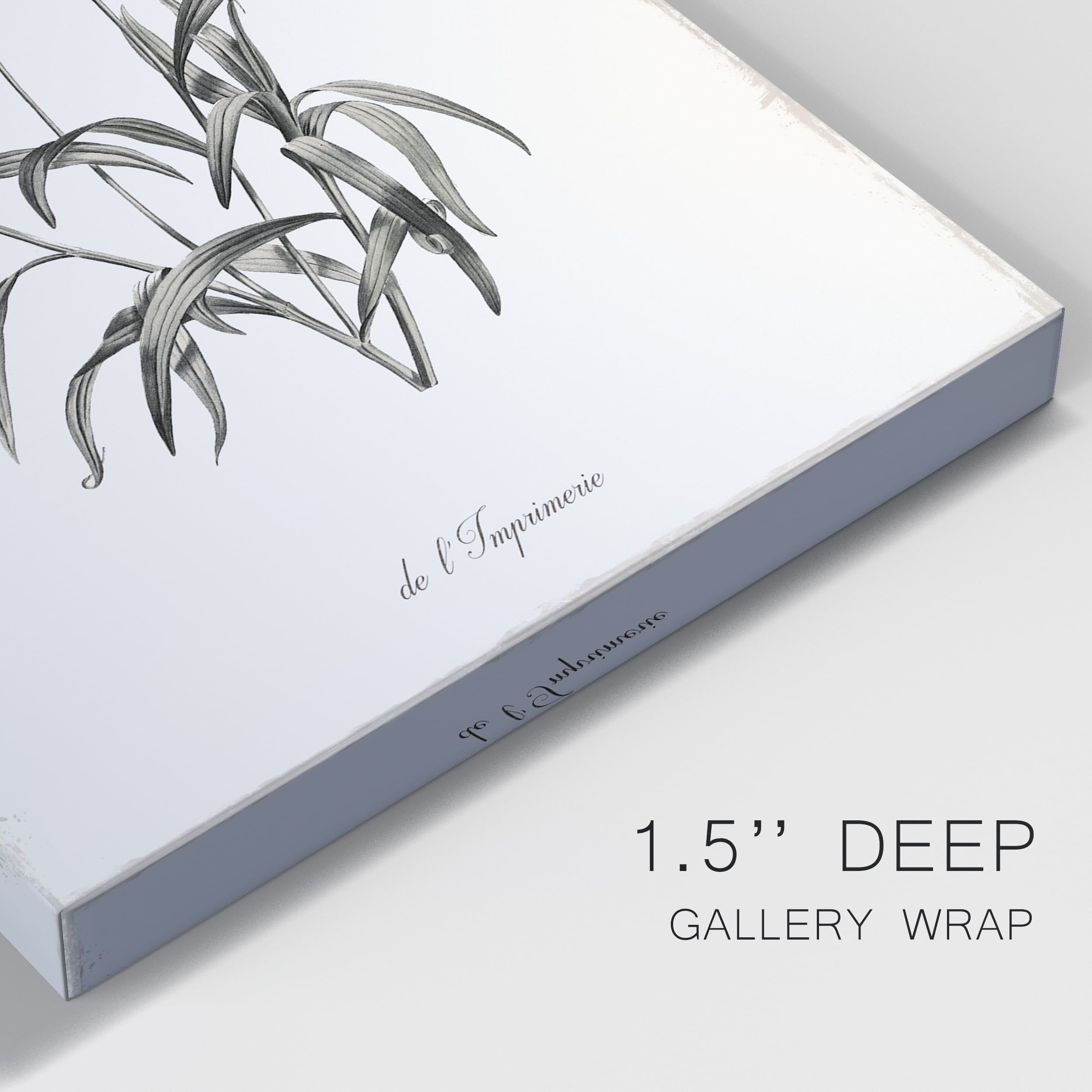 Sketchbook Imperial Premium Gallery Wrapped Canvas - Ready to Hang - 18 x 27