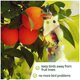 thumbnail image 5 of Repelente de palomas espantapájaros [repelente de pájaros espantapájaros] - Para repeler palomas cuervos y más - Para uso con ultrasonido/pico/red - Paquete de 8, 5 of 5
