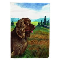 Carolines Treasures 7122-FLAG-PARENT Sussex Spaniel Flag multicolor