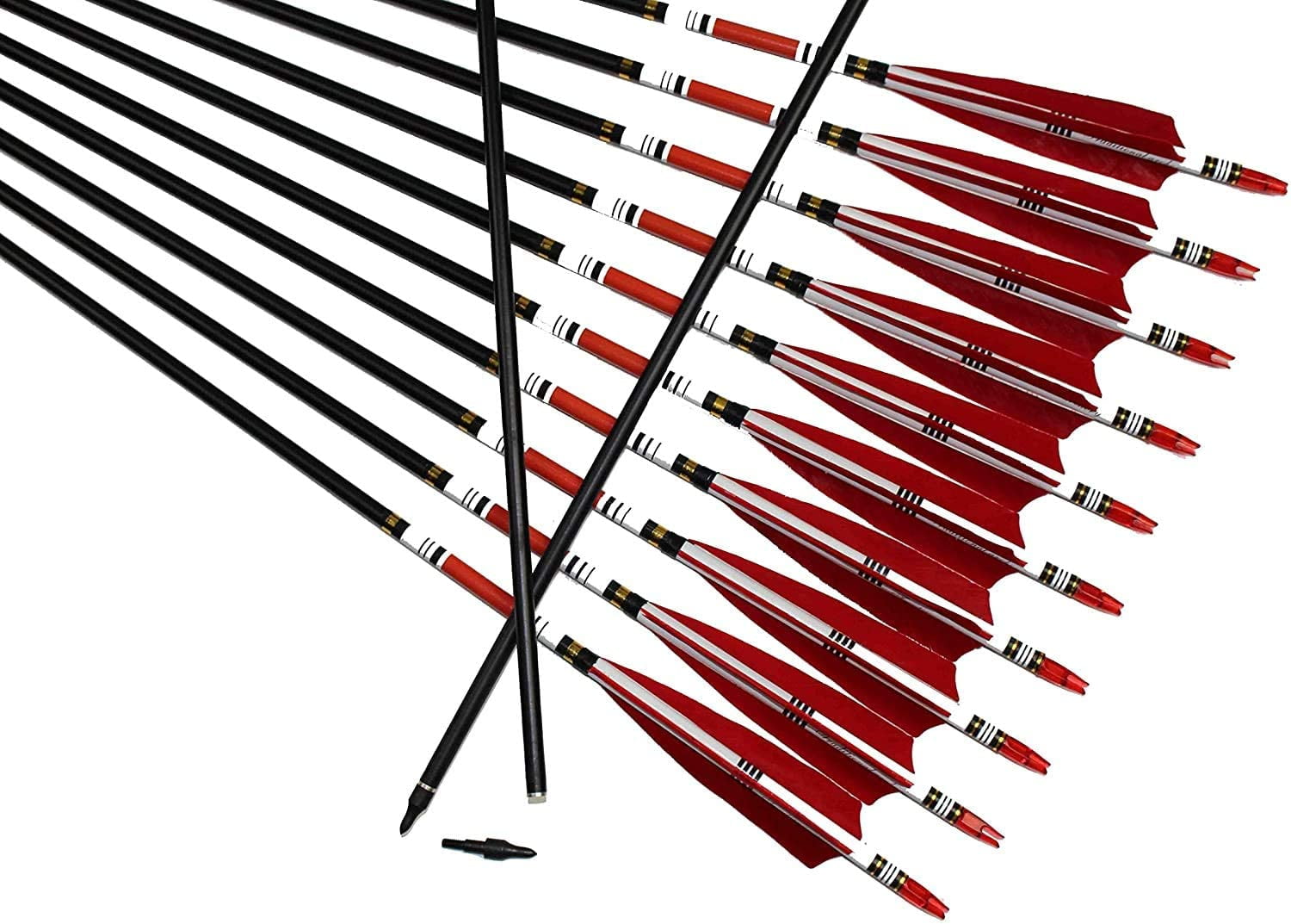 FULL LENGTH FEATHER FLETCHINGS RED for Longbow Arrows, 