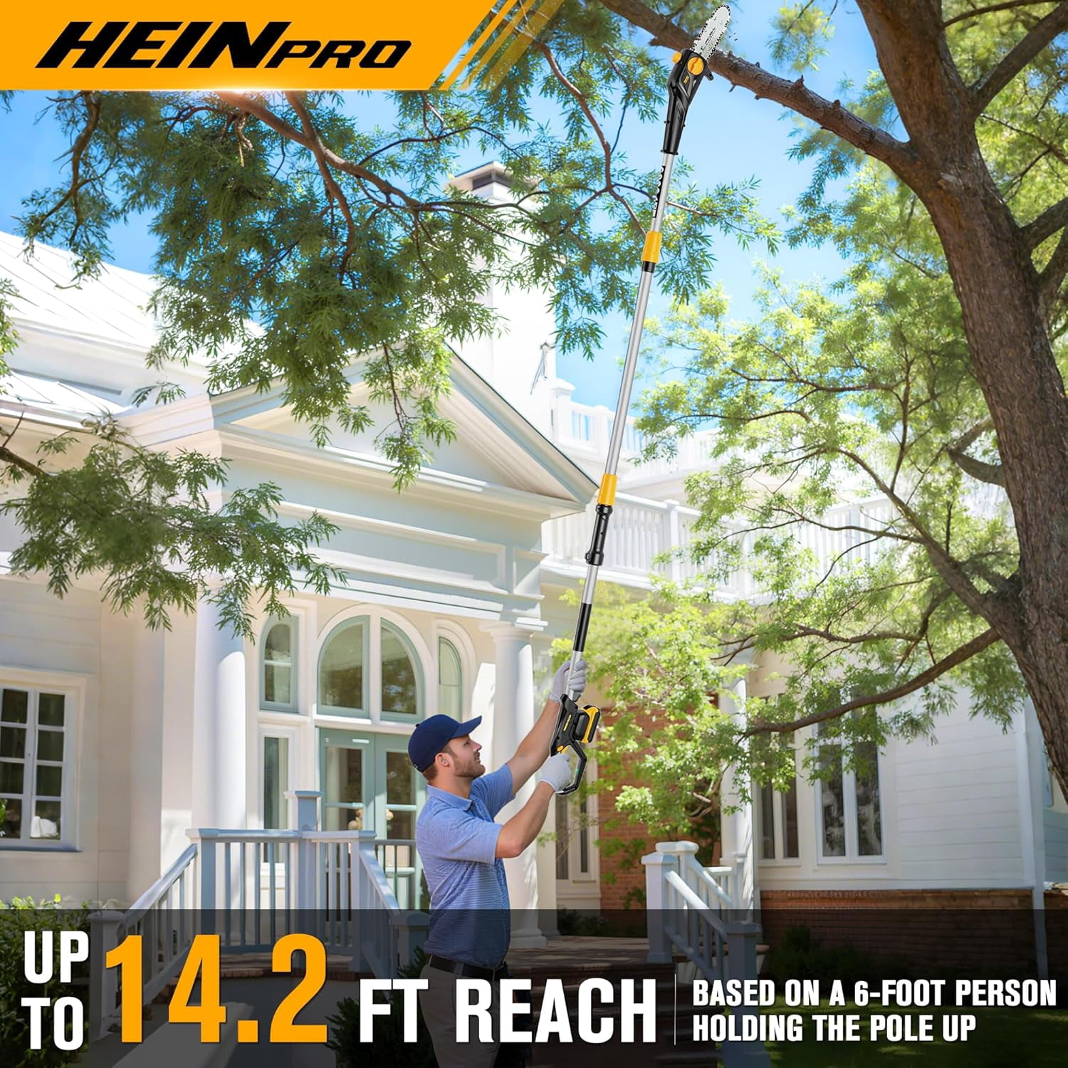 Cordless Pole Saw Compatible with Dewalt 20V Max Battery 8 inch Electric Pole Saws for Tree Trimming Battery Powered, Extension up to14.2 feet Pole Chainsaw (Battery not Included)