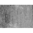 thumbnail image 1 of Ahgly Company Indoor Rectangle Oriental Gray Industrial Area Rugs, 2' x 4', 1 of 4