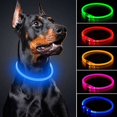 thumbnail image 2 of 4 collares para perros iluminados, recargables por USB, collares para cachorros con luces intermitentes para perros pequeños, medianos y grandes Rojo Verde, 2 of 4