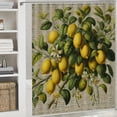 thumbnail image 6 of Awypu Lemon Summer Fruit Waterproof Shower Curtain for Bathroom Decoration White, 6 of 7