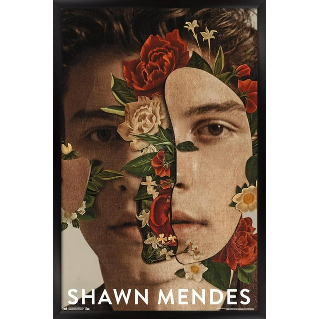 Shawn Mendes - Fleurs