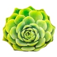 thumbnail image 1 of Almohada de peluche de 50 cm para decoración del hogar, adornos suaves para sofá Verde, 1 of 9
