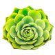 thumbnail image 1 of Almohada de peluche de 50 cm para decoración del hogar, adornos suaves para sofá Verde, 1 of 9