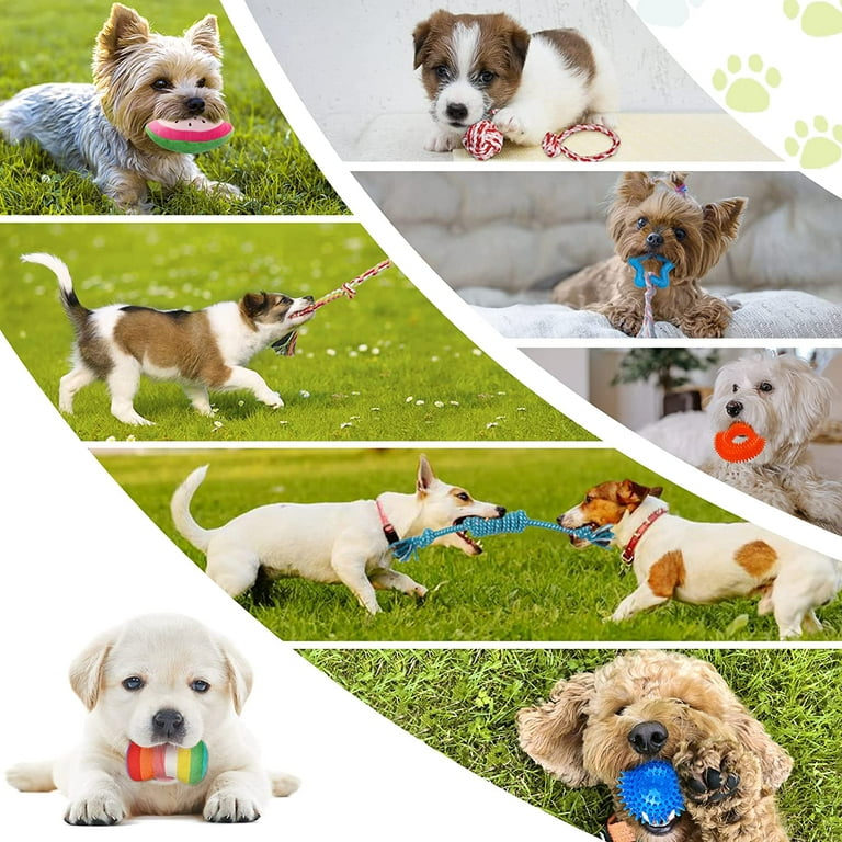 KIPRITII Dog Chew Toys for Puppy - 20 Pack Puppies Teething Chew