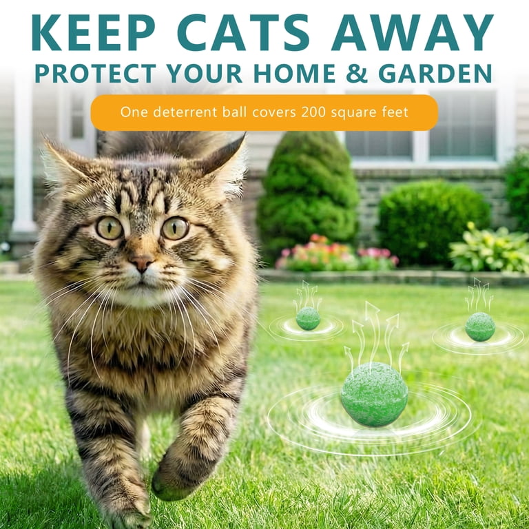 Cat Deterrent Spray To Keep Cats Away From Yard Cat MACE Anti-Cat Deterrent  And Training