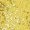 Gold, variant on Xnihocha Women Sequins Tassel Latin Dance Dress Fringed Leotard Gloves Hat Tango Jazz Dance Outfit Royal Blue XXL