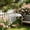 Clear#766, variant on Hanging Bird Feeder Rain Guard Dome Cover, Plastic Weather Shield and Squirrel Baffle, Transparent Panoramic Design, Multi-Size Compatible for Outdoor Feeders