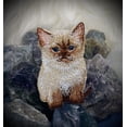 thumbnail image 6 of Tan Kitty Cat, Siamese Kitten, Pets, Animals, Embroidered, Iron On Patch, 6 of 6