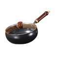 thumbnail image 3 of 945 Manual de sartén Wok Forjing Pan de hierro Mango de madera Mango multifuncional sin cocción con recubrimiento de cocción para acampar para la tapa de vidrio, 3 of 8
