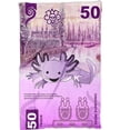 thumbnail image 1 of Cobija Frazada Ultra Suave Ajolote Billete 50, 1 of 1