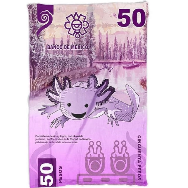 Cobija Frazada Ultra Suave Ajolote Billete 50