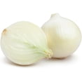 thumbnail image 4 of White Grano Onion Seeds (Allium cepa) – 500+ Heirloom Non-GMO Seeds by Isla’s Garden Seeds, Short Day Variety, Ideal for Planting, Perfect for Home Gardens, Great Gardening Gift, 4 of 7