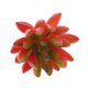 thumbnail image 3 of 2x Mini Echeveria Lotus Suculentas Plantas Artificiales Flores Artificiales perfecl Planta suculenta artificial, 3 of 7